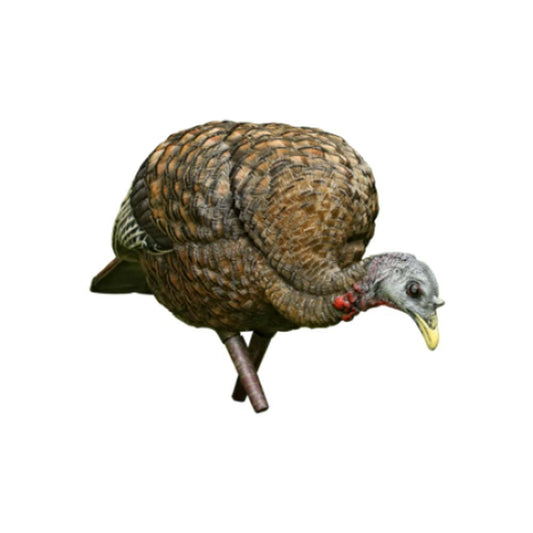 AvianX LCD Feeder Turkey Decoy