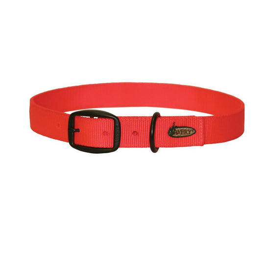 Avery Dog Collar, Medium Blaze