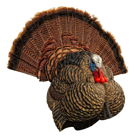 AvianX LCD Strutter Turkey Decoy