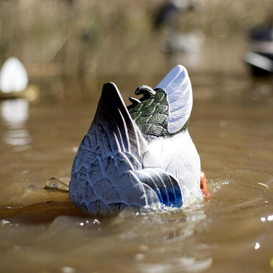 Mallard ButtUp Rippler
