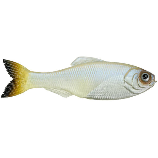 3.5 PANORAMA PRO BLUE