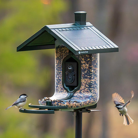 FEATHERSNAP SCOUT WIFI SOLAR BIRD FEEDER