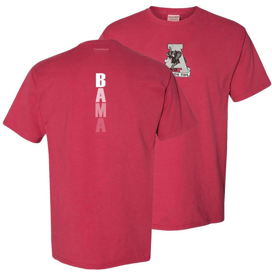 TONAL VINTAGE A CW S/S TEE