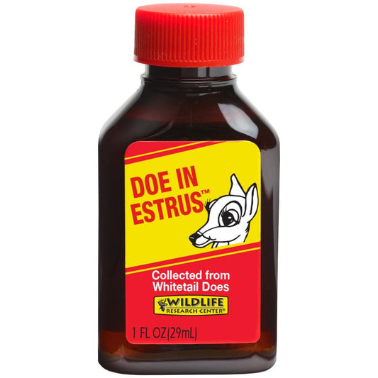 Doe in Estrus