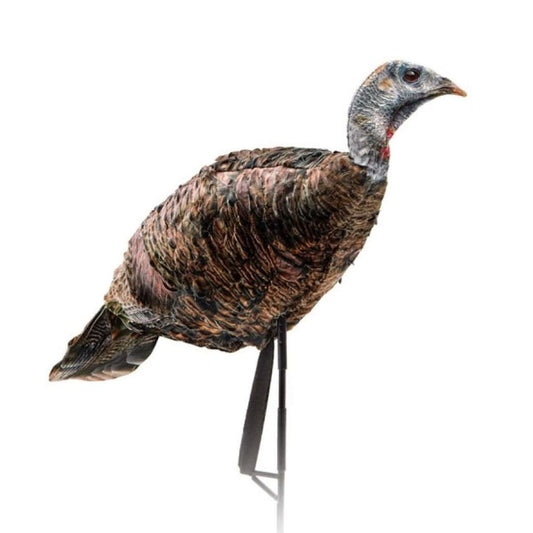 MISS PURRFECT XD 3D HEN