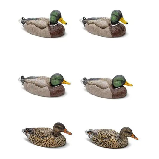 MALLARD 6 PACK EVA