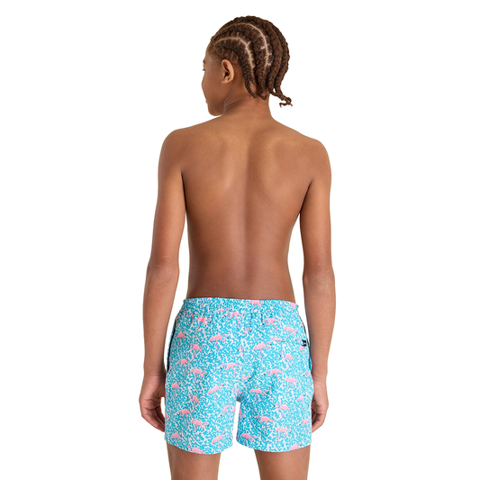 BOYS DOMINGOS FOR FLAMINGOS CLASSIC LINED