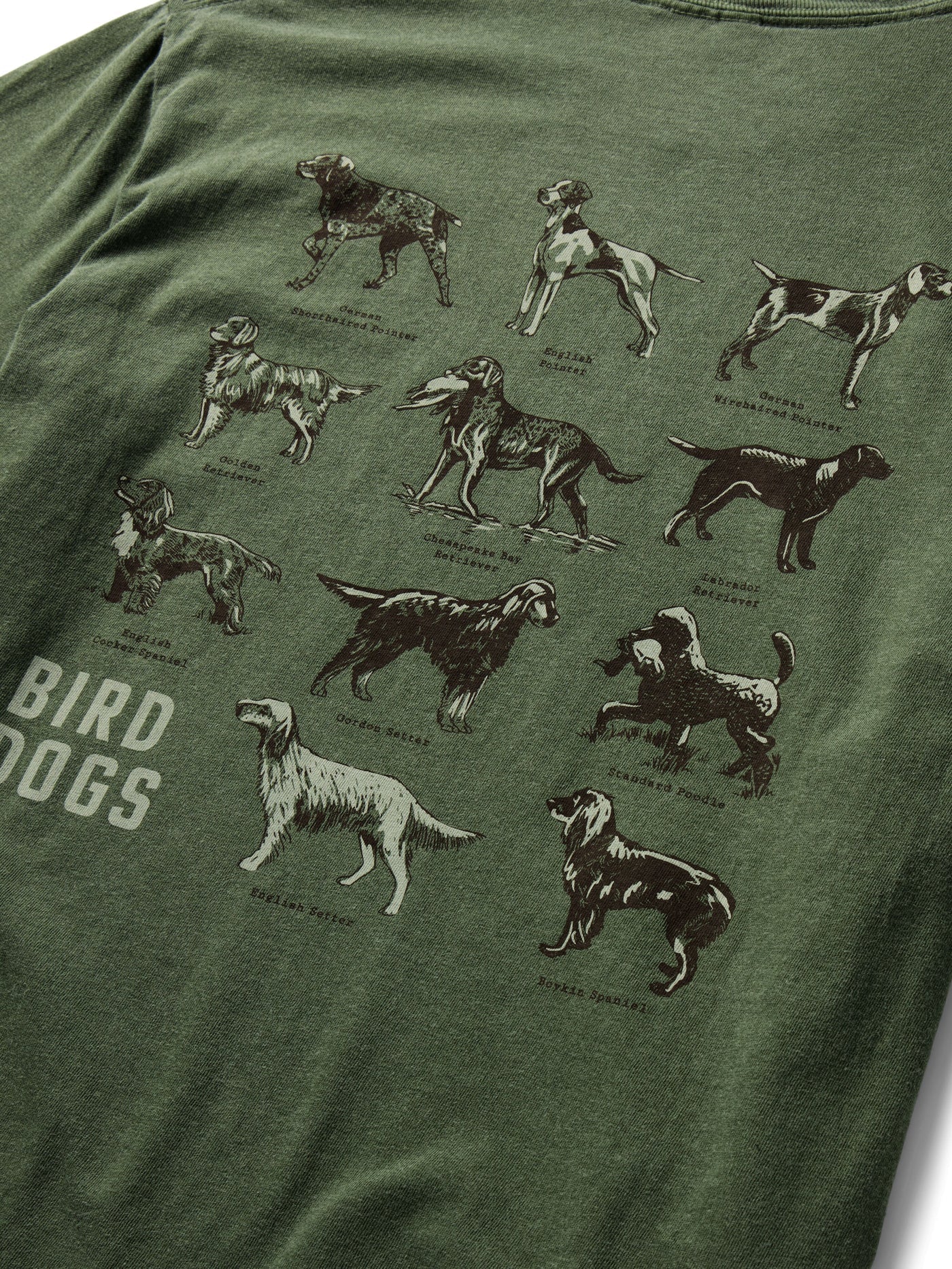 GRAPHIC TEE BIRD DOGS