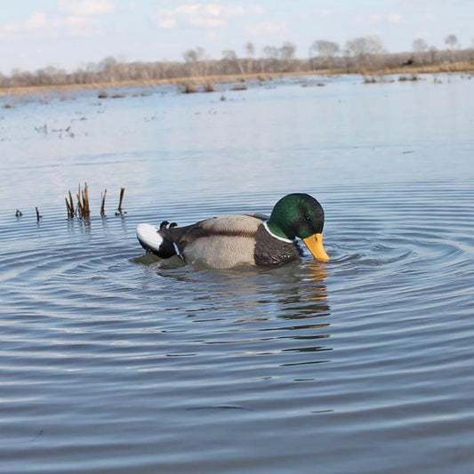 Mallard Rippler