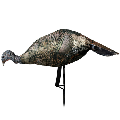 Miss Purrfect XD3 Hen