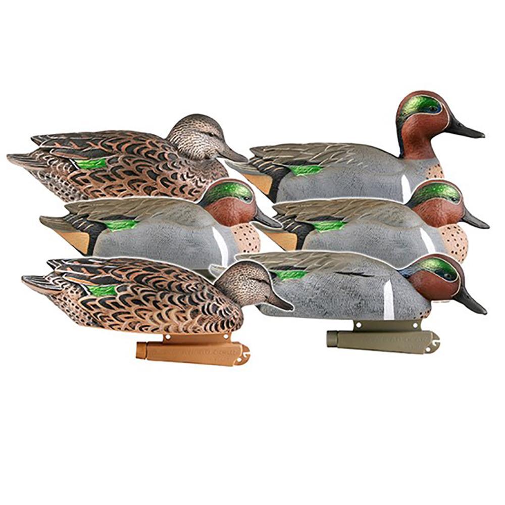 ProGrade GREENWINGED TEAL 6PACK