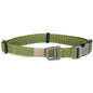DOG COLLAR
