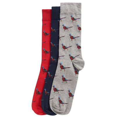 Pheasant Socks Gift Box