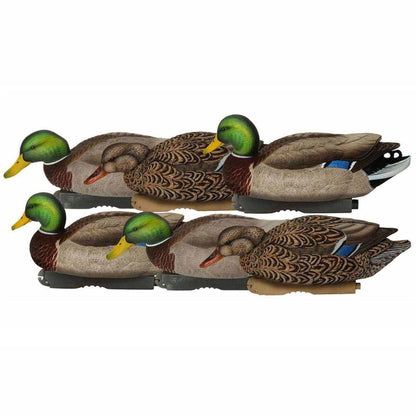 PG XD SERIES MALLARDS FEEDER 6PACK