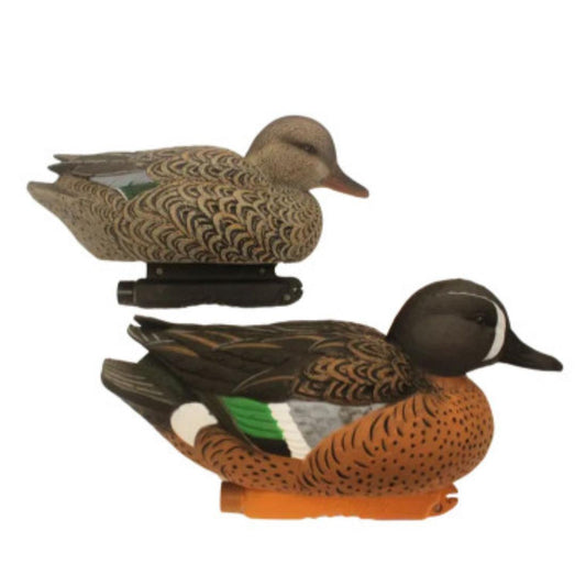 BLUE WING TEAL 6 PACK EVA MIX