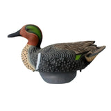 HYDROFOAM GREENWINGED TEAL 6PK