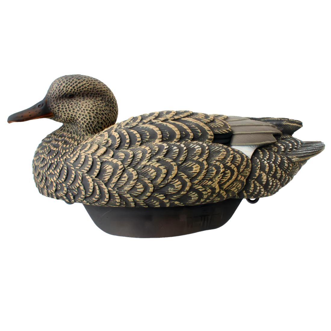 HYDROFOAM GADWALL 6PK