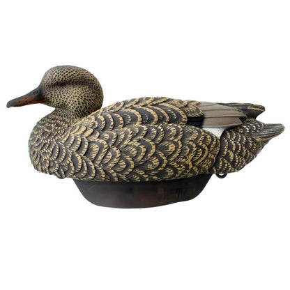 HYDROFOAM GADWALL 6PK