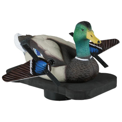 LUCKY SPLASHER DRAKE MALLARD
