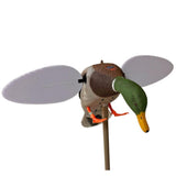 SILVER MALLARD 25TH ANNIVERSARY