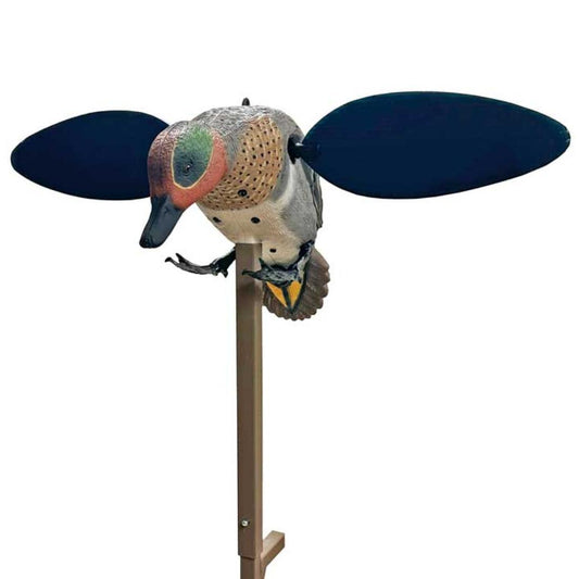 GREEN WING TEAL DRAKE