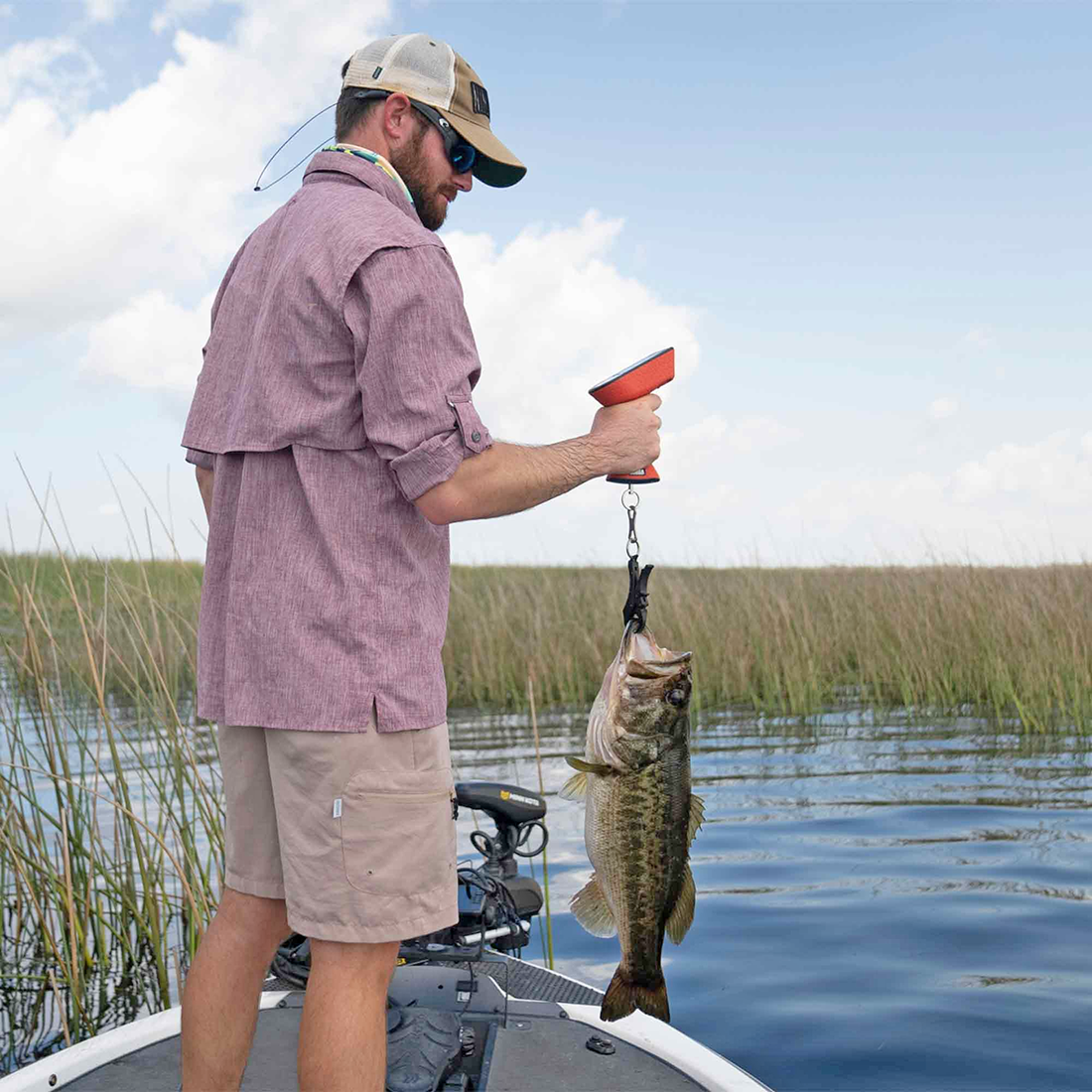 SMART FISH SCALE