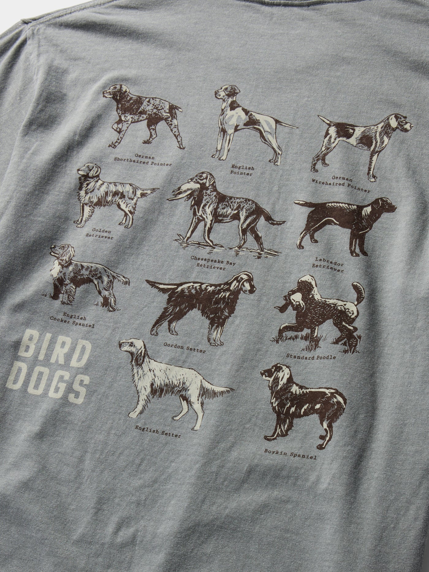 GRAPHIC TEE BIRD DOGS
