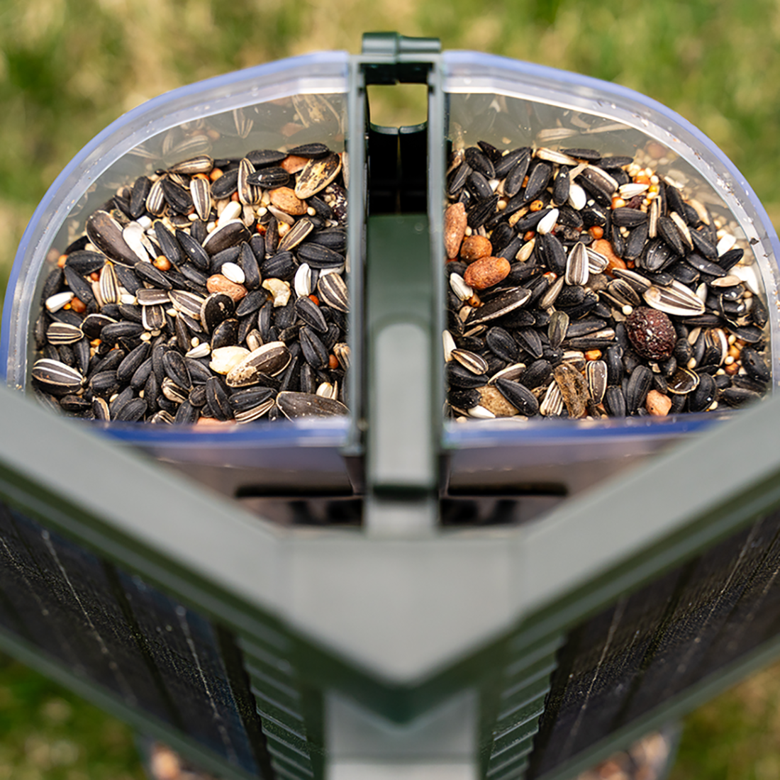 FEATHERSNAP SCOUT WIFI SOLAR BIRD FEEDER