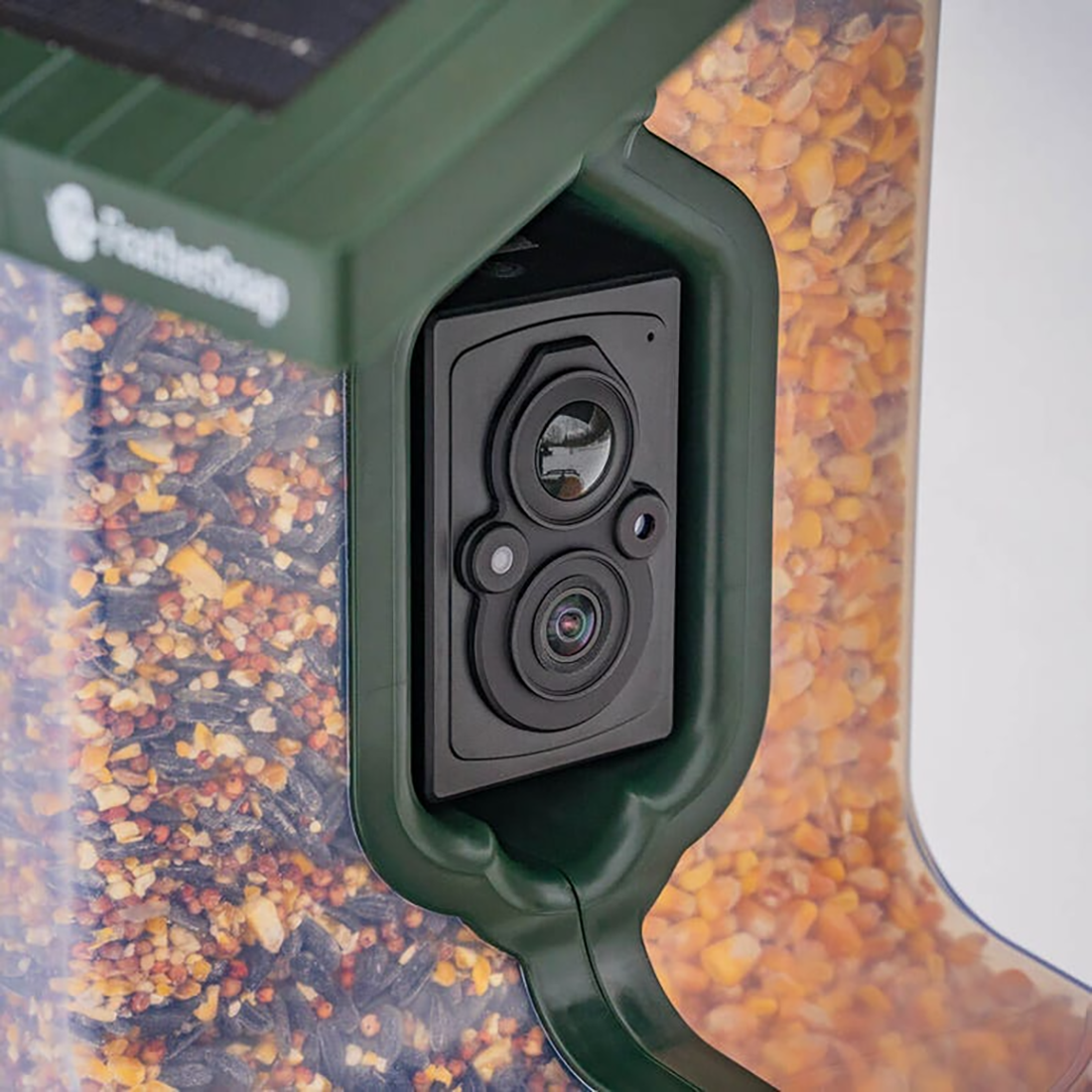 FEATHERSNAP SCOUT WIFI SOLAR BIRD FEEDER