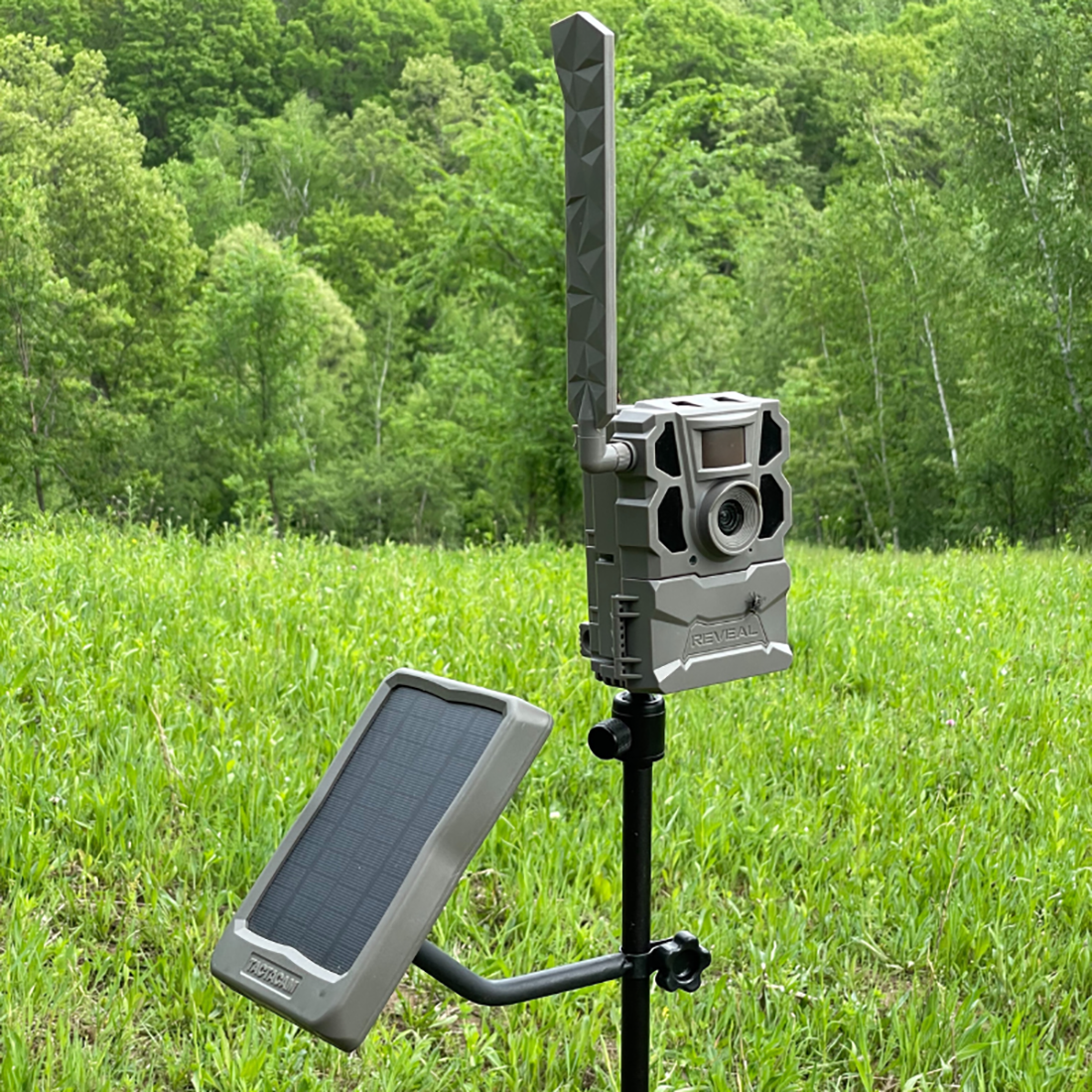 ADJUSTABLE CAMERA STAKE
