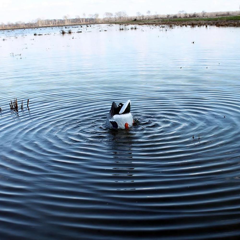Mallard ButtUp Rippler