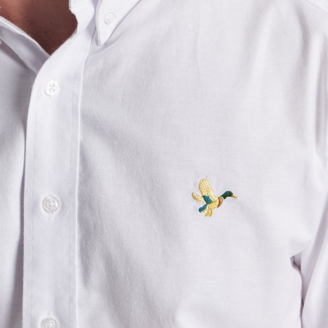 Mens Classic Oxford Dress Shirt  Outfitter Duck