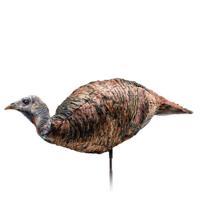 MISS PURRFECT XD 3D HEN