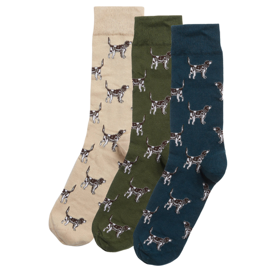 POINTER DOG SOCKS GIFT BOX