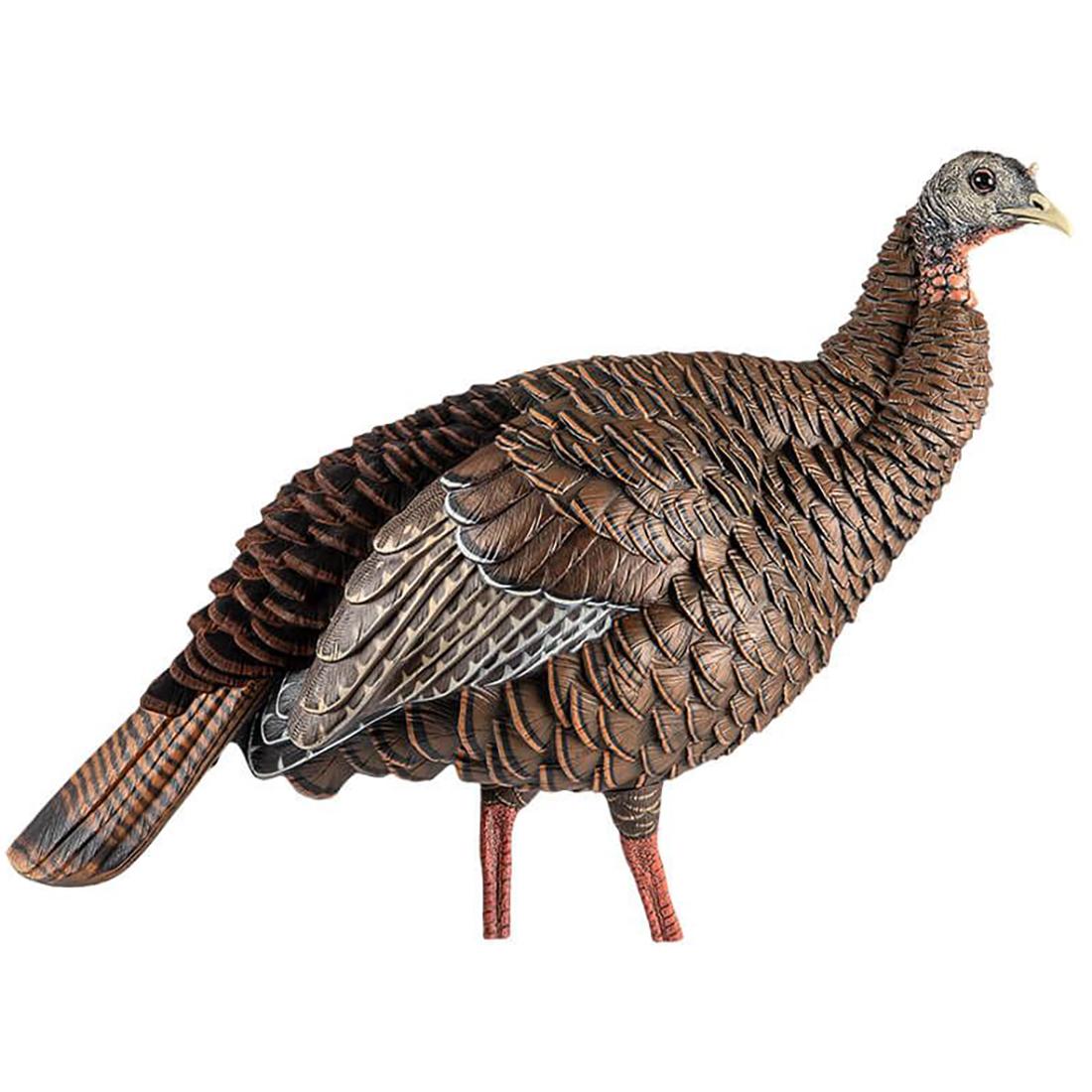 HDR HEN