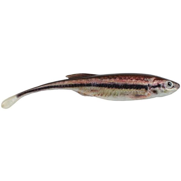 3`` DRIP MINNOW HD BLACKNOSE SHINER