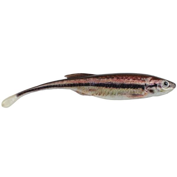 4`` DRIP MINNOW HD BLACKNOSE SHINER