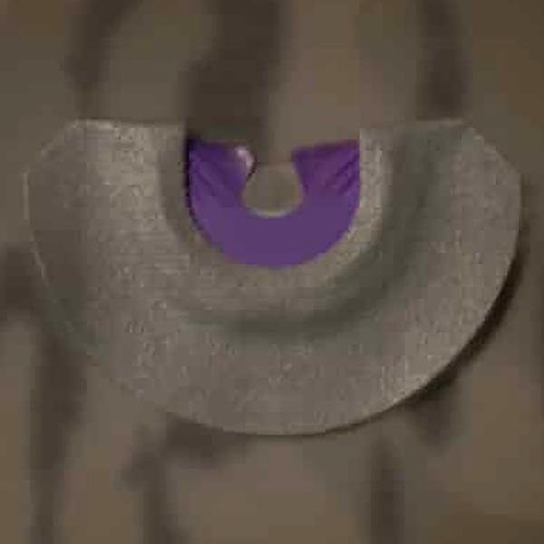 PURPLE GHOST CUT MOUTH CALL