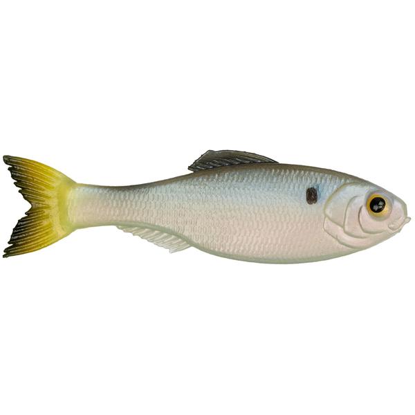 5`` PANORAMA CLEARWATER SHAD