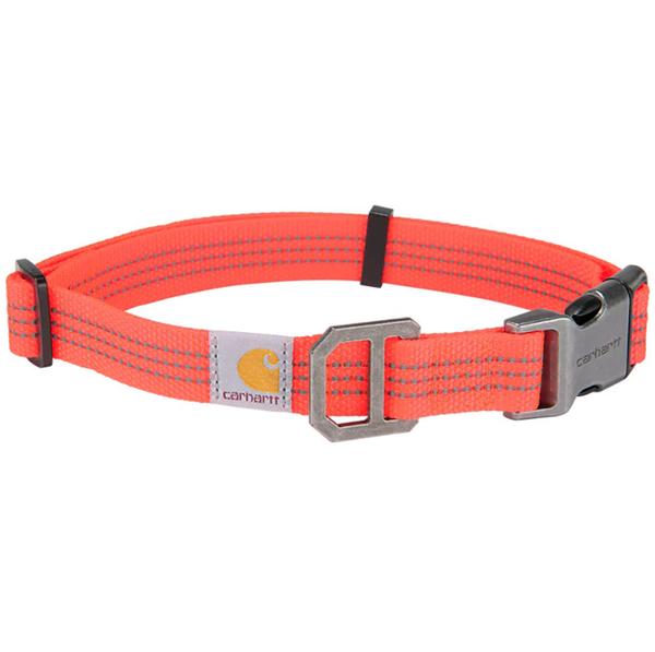 DOG COLLAR CORALGLOW