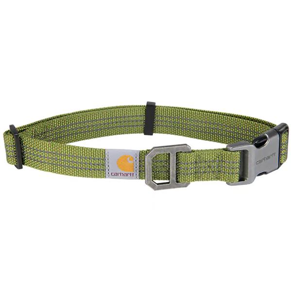 DOG COLLAR LIGHTMOSS